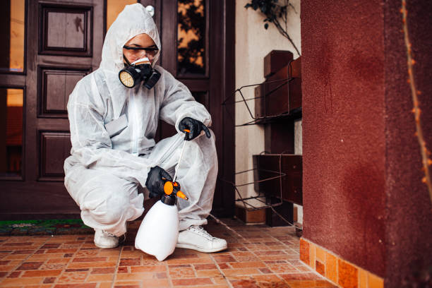 Reliable Wasp Removal contractor in Pendleton, SC by Show Me Pest Control